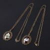 Game Bioshock Elizabeth Pigeon Bird Cage Vintage Alloy Metal Pendant Necklace Chain Cosplay Jewelry Accessories 1 - Bioshock Merch